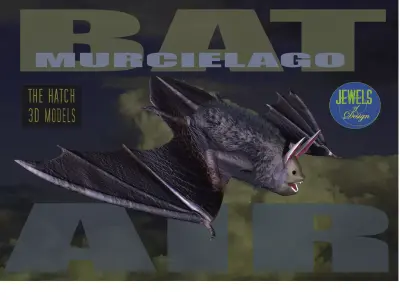 3D Bat model flying 3D model