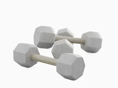 Concrete Dumbbell Set Low-poly 3D model