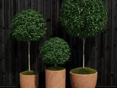 Plants collection 16 3D model purchase