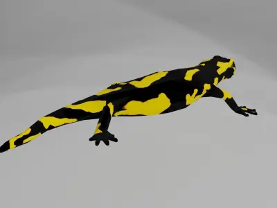 Low poly salamander lizard Low-poly 3D model