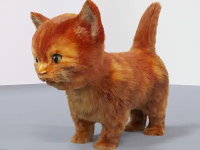 Fur Cute Cat kitten Red 02 No Rig Low-poly 3D model