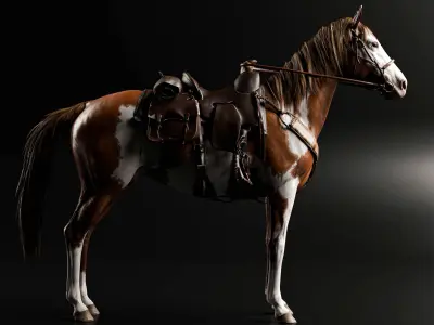 Rigged Horse And Saddle 3D model