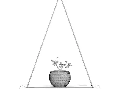 Wall Shelf on the Rope with Small Plant 3D model