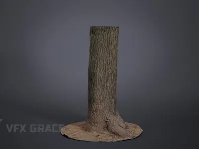 Apricot tree 002 3D model