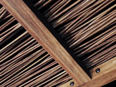 Ceiling thin branch crooked n1 3D model