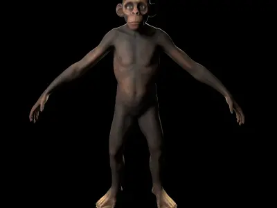 Monkey gameready PBR chimpanzee Low-poly 3D model