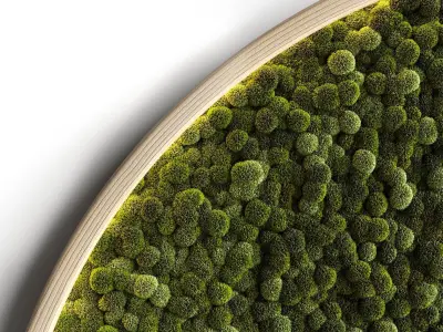 Mosswall disk 2 3D model