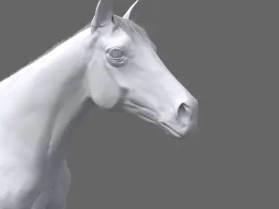 Horse 3D model