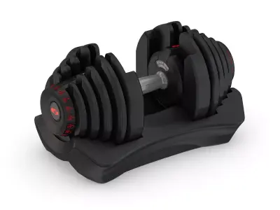 Bowflex Selecttech 1090i Dumbbells 3D model