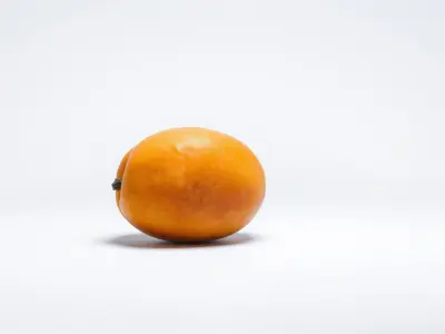 Warm Orange-Yellow Apricot Model Pack Low-poly 3D model