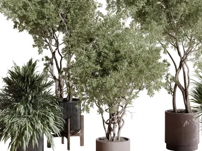 indoor plant set 408 plant tree palm bush concrete dirt vase Low-poly 3D model