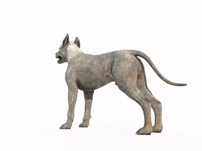 Mammalian hunting dog 3D model