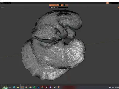 reishi mushroom for 3d print webgl and game AR VR Low-poly 3D model