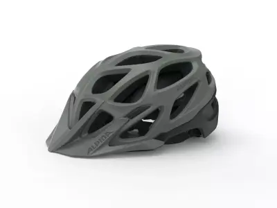 ALPINA Unisex-Adult helmet 3D model