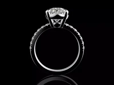 Gold N1581 3D print model