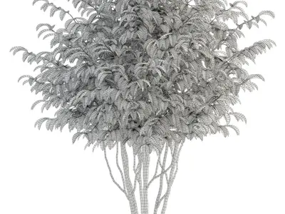 Plants collection 91 3D model