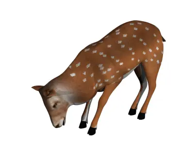 Deer Rigged and Animated 3D model