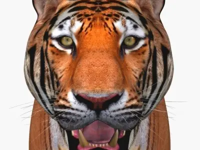 Awesome Tiger - 3d model 3D model