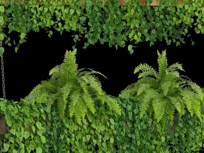 Indoor Hanging Plants - Set 05 and Set 06 3D model