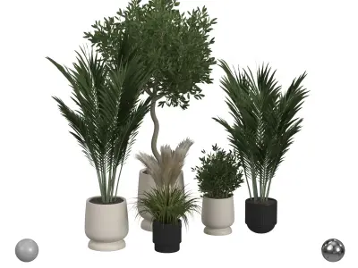 Plant collection  3D model