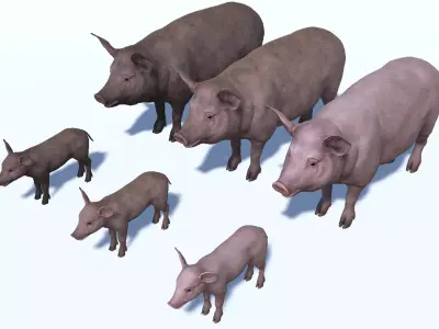 PIG FAMILY Low-poly 3D model