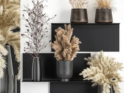 Collection of bouquets of dried flowers pampas Cortaderie reeds