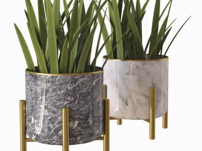 plant pot 01 3D model