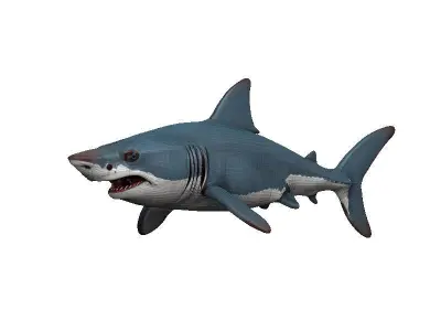 Shark Low-poly 3D model 48
