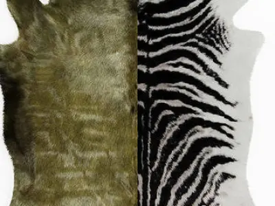Collection of 39 animal skin rugs