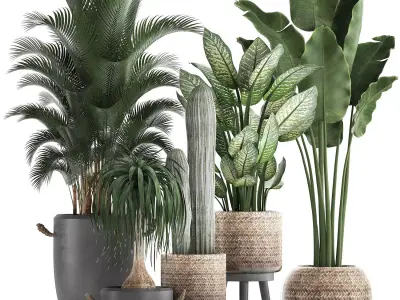 Collection of exotic palm trees in concrete pots 417 3D model