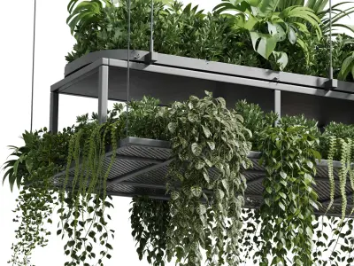 Hanging plants - indoor plant 420 Low-poly 3D model