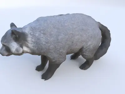 Binturong 3D model