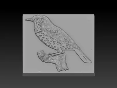 Birdd plastic plate with holes 3D print model purchase