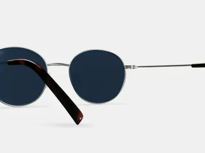 Merrick Sunglasses in Polished Silver 3D model