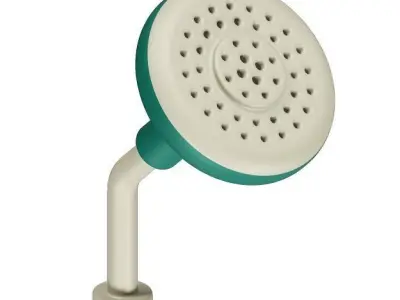 Plastic Luxury Shower Head 3D model