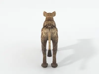 Hyena lion Low-poly 3D model