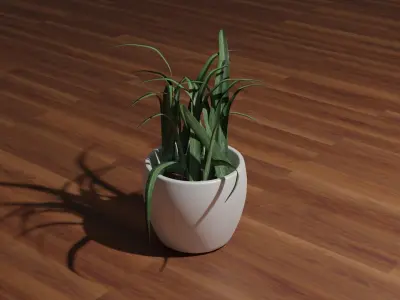 Pot Plant 3D model