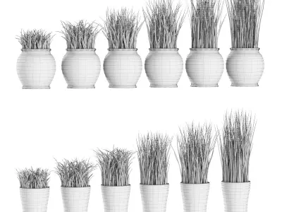 Grass in pots 3D model