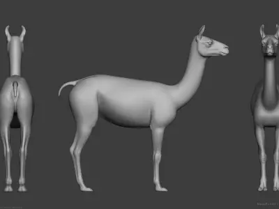 Llama - Highpoly Sculpture 3D model