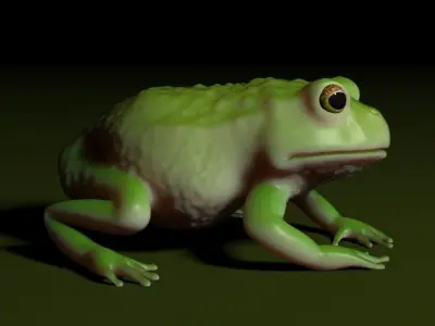 Frog 001 3D model
