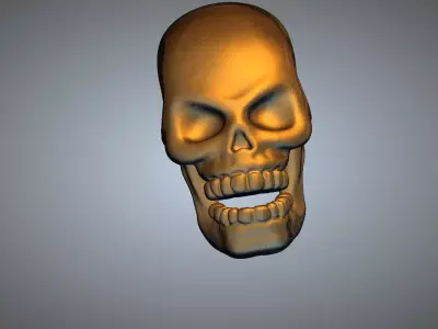 Skull 3D print model