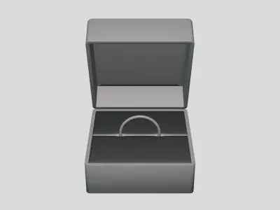 Ring Box - Geometry Only No Textures No Materials 3D model