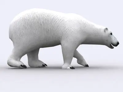 3DRT - Polar Bear Low-poly 3D model