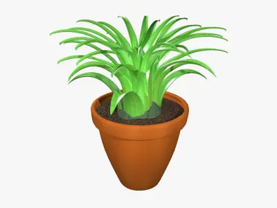 Tillandsia plant 3D model