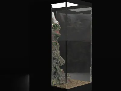Angular Square Aquarium with Decorative Rock 3D model