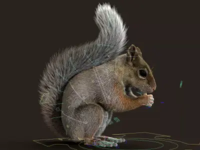 Brown Squirrel Xgen 3D model