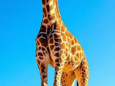 Majestic Giraffe Tall African Animal Spotted Coat Lowpoly Low-poly 3D model
