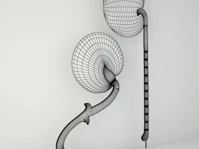 Burmese Fans 3D model