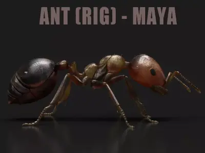 Ant RIG 3D model