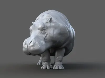 Hippopotamus RIG xgen 3D model